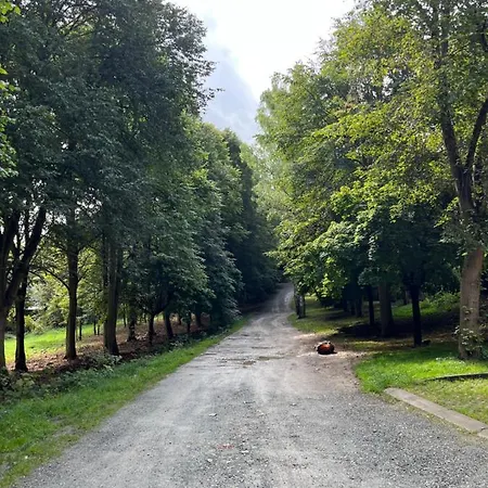 Apartament Pod Debami Apartman *