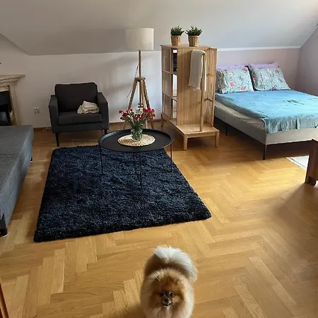 Apartament Pod Debami Polanica-Zdrój